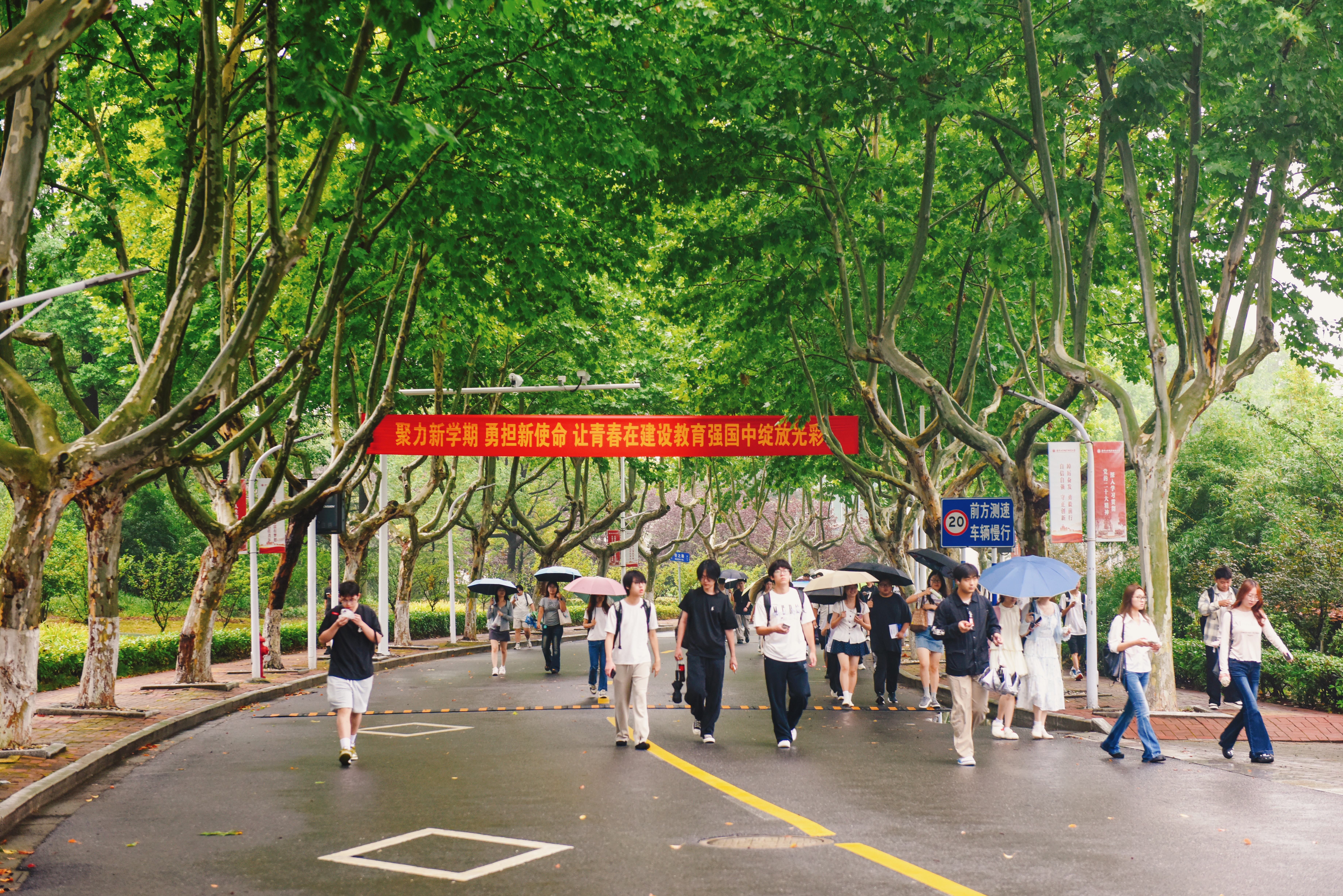 你好，新学期！细雨为序，晨光在前！